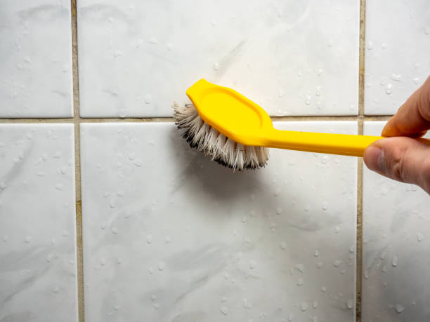 Hunters Creek Village, TX Mold Remediation Company