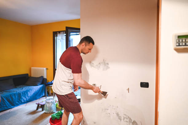 Best Mold Remediation for Schools in Hunters Creek Village, TX